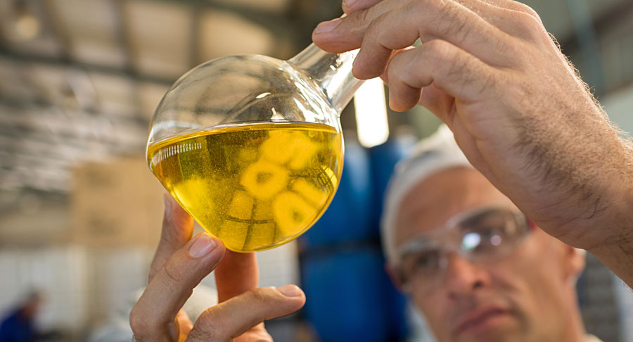 Young man in safety goggles, standing in the middle of a field examining a leaf