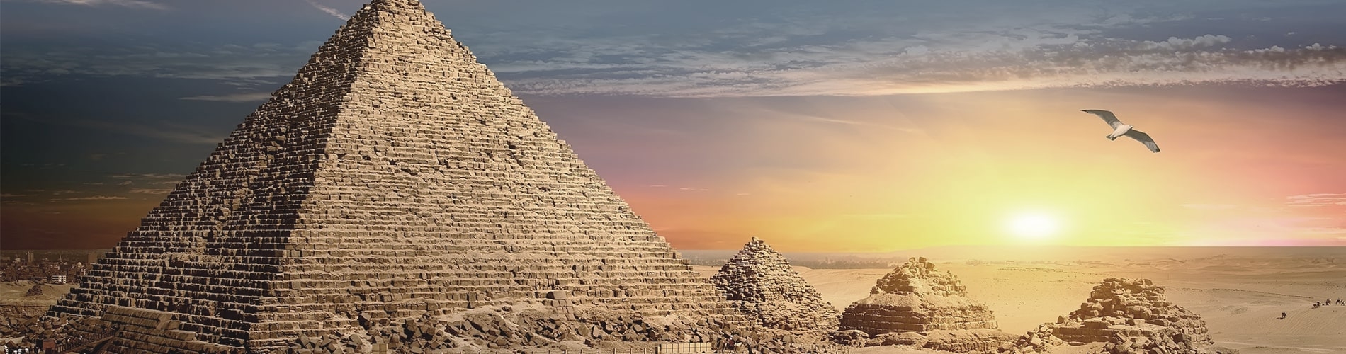 Egypt | Ipsos