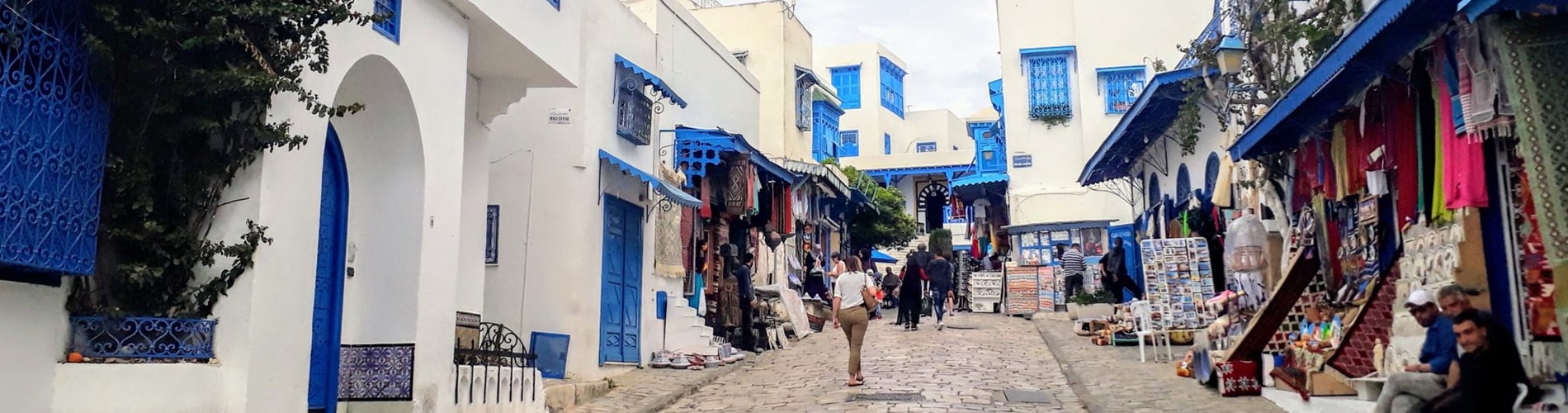 Tunisie | Ipsos
