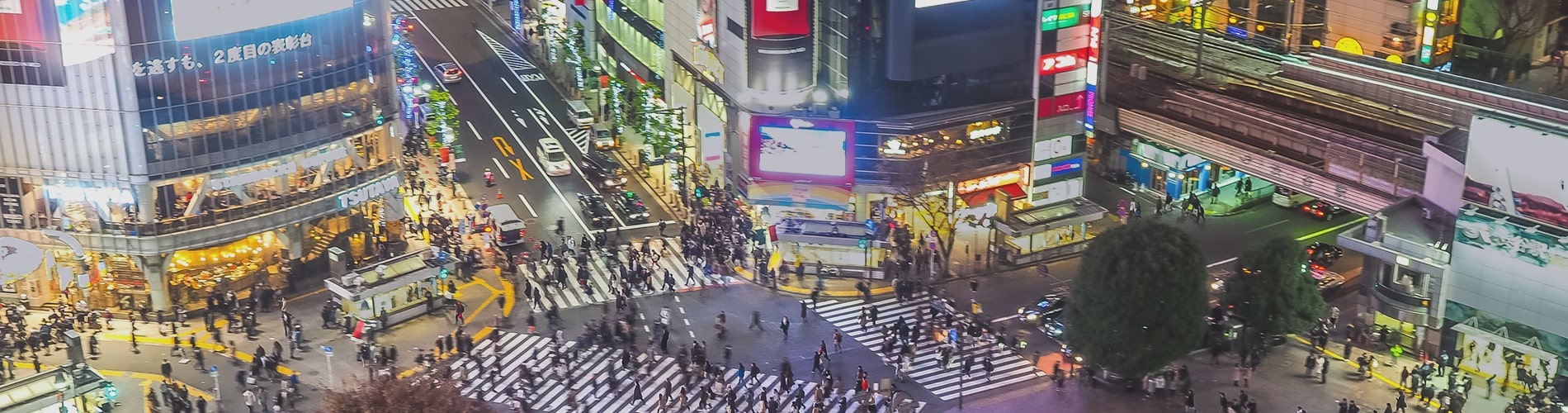 Japan - Ipsos