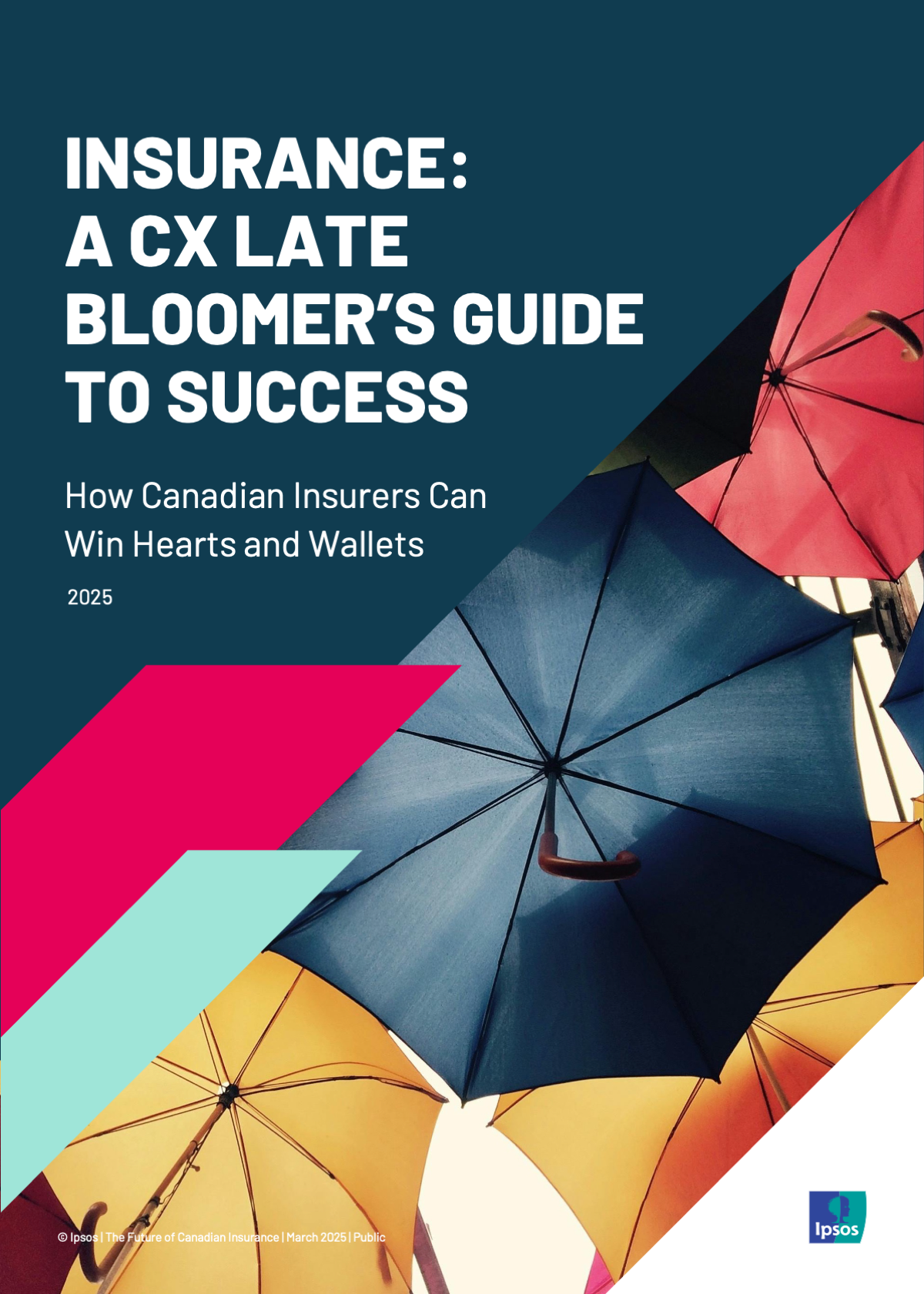 Insurance: A CX Late Bloomer's Guide to Success