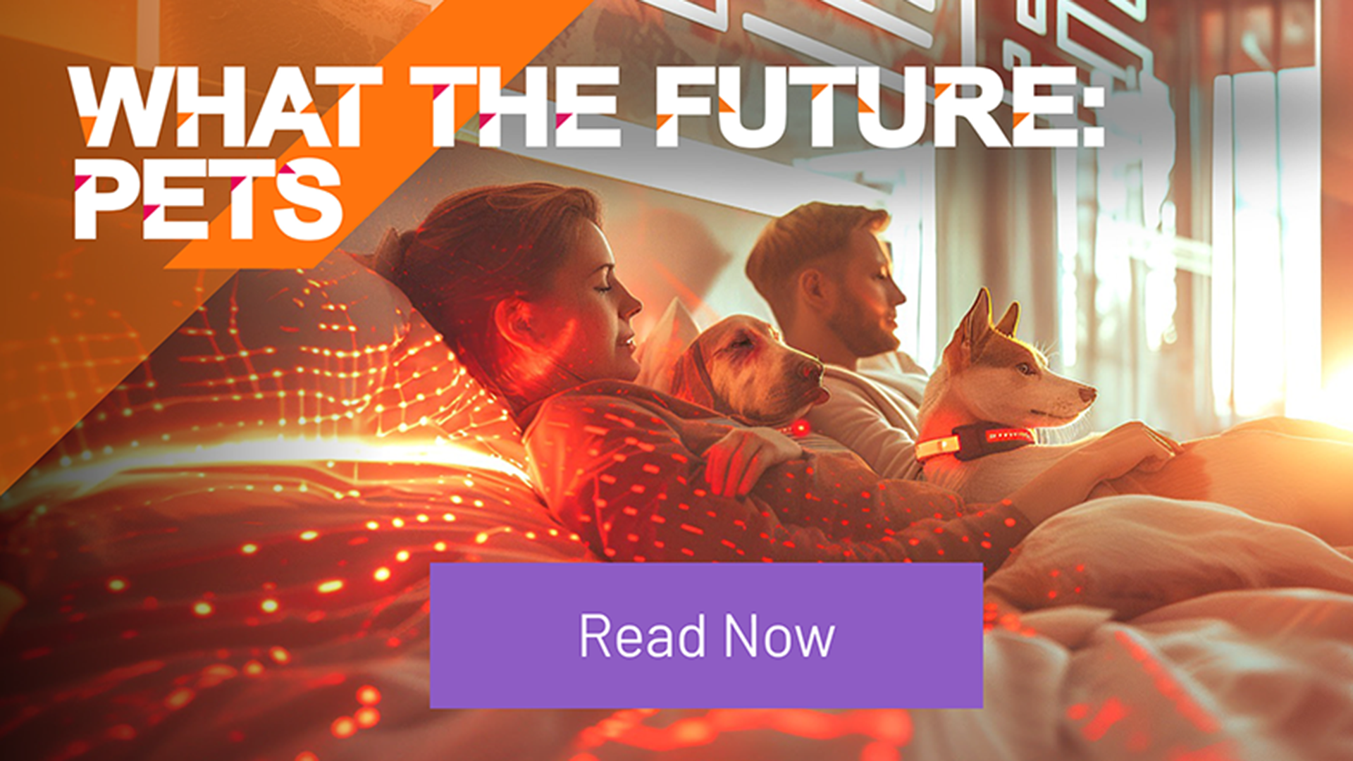 What the Future Pets
