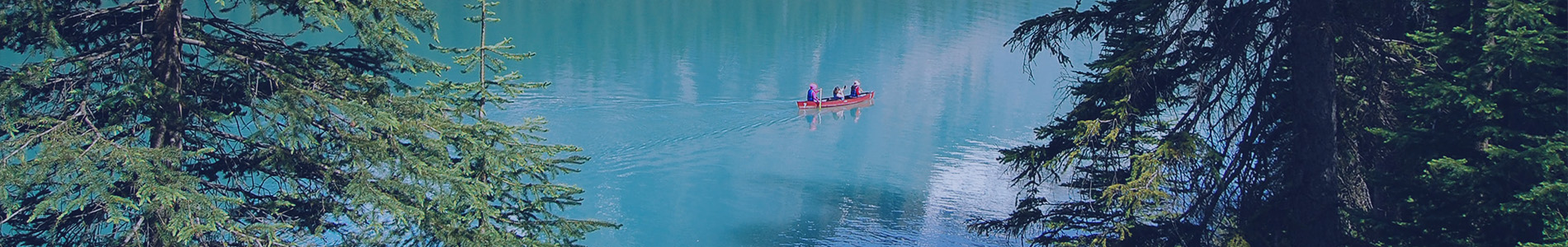 Ipsos | Almanac | Canada 