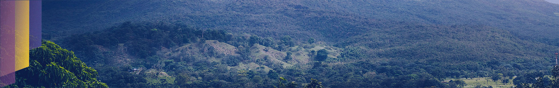  Ipsos | Almanac | Costa Rica