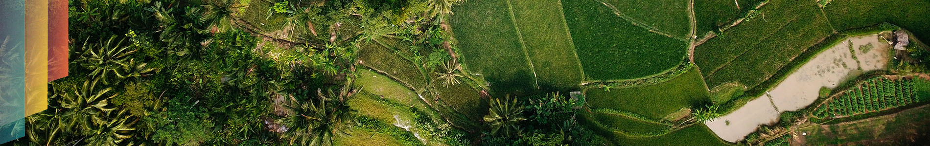 Ipsos | Almanac | indonesia