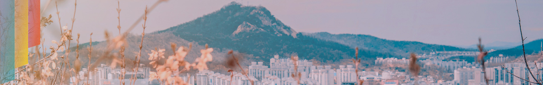 Ipsos | Almanac | South Korea