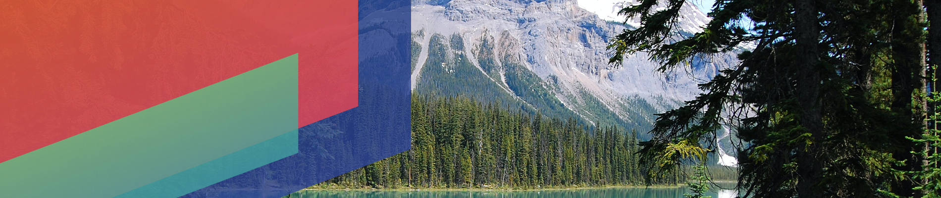 Ipsos | Ipsos Almanac  2024 | Canada