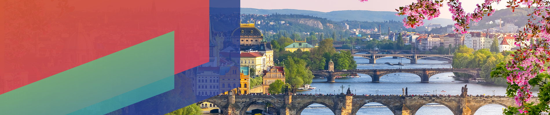 Ipsos | Almanac 2024 | Czechi