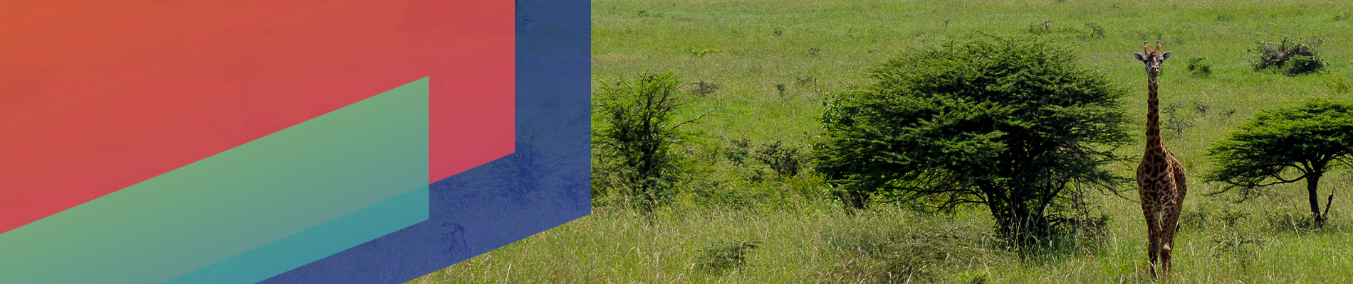 Ipsos | Almanac 2024 | Kenya