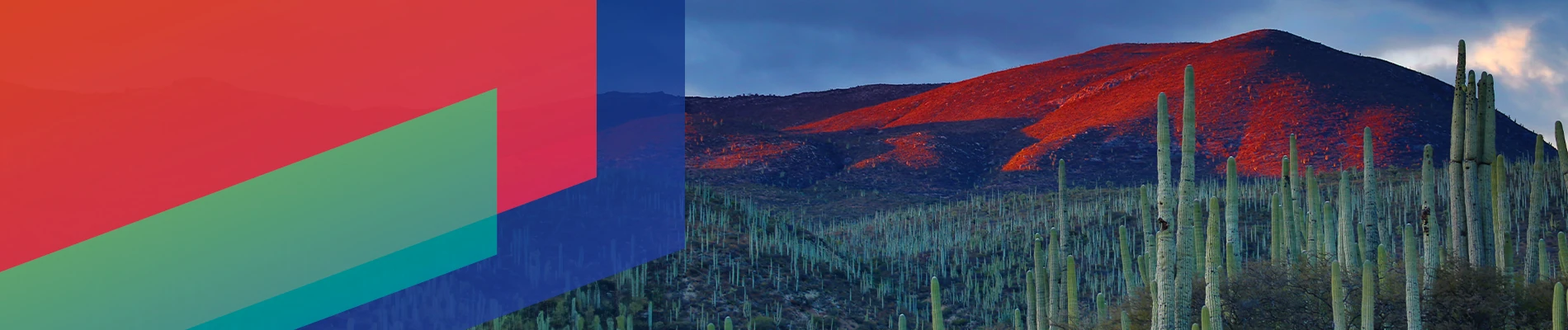 Ipsos | Almanac | Mexico