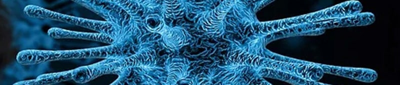 Coronavirus | Covid-19 pandemic | Ipsos | webinars from over the world