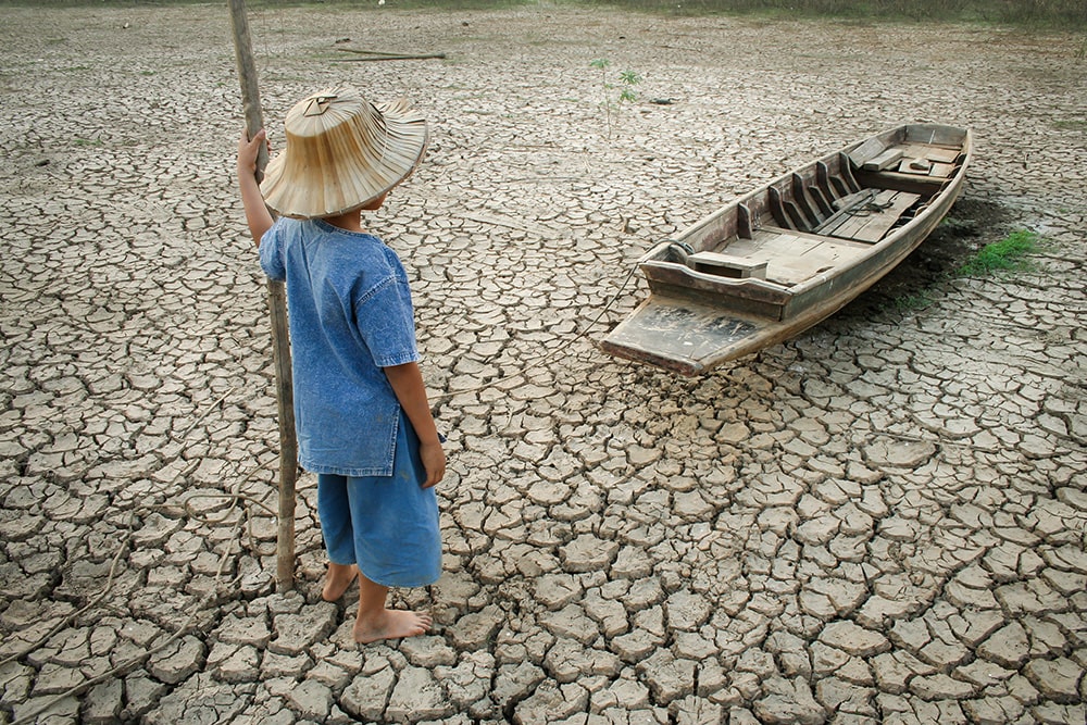 Climate change and environmental impacts | Ipsos
