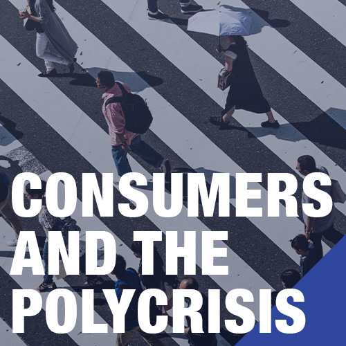 Ipsos | KEYS | Previously | Consumers and the polycrisis