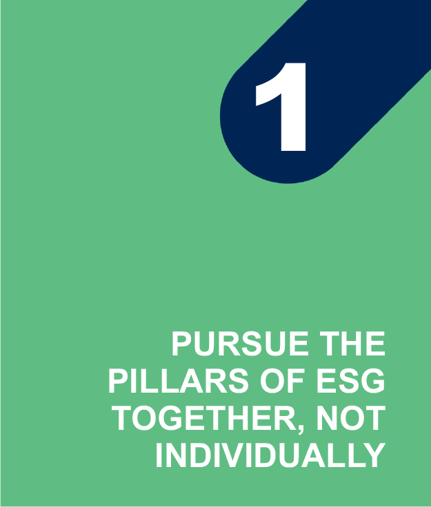 1 - Pursue the pillars of ESG together, not individually