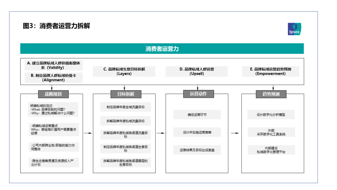 顶天与立地：私域运营的成功之道 | Ipsos
