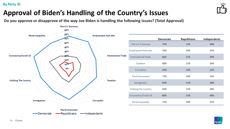Biden approval on key issues 