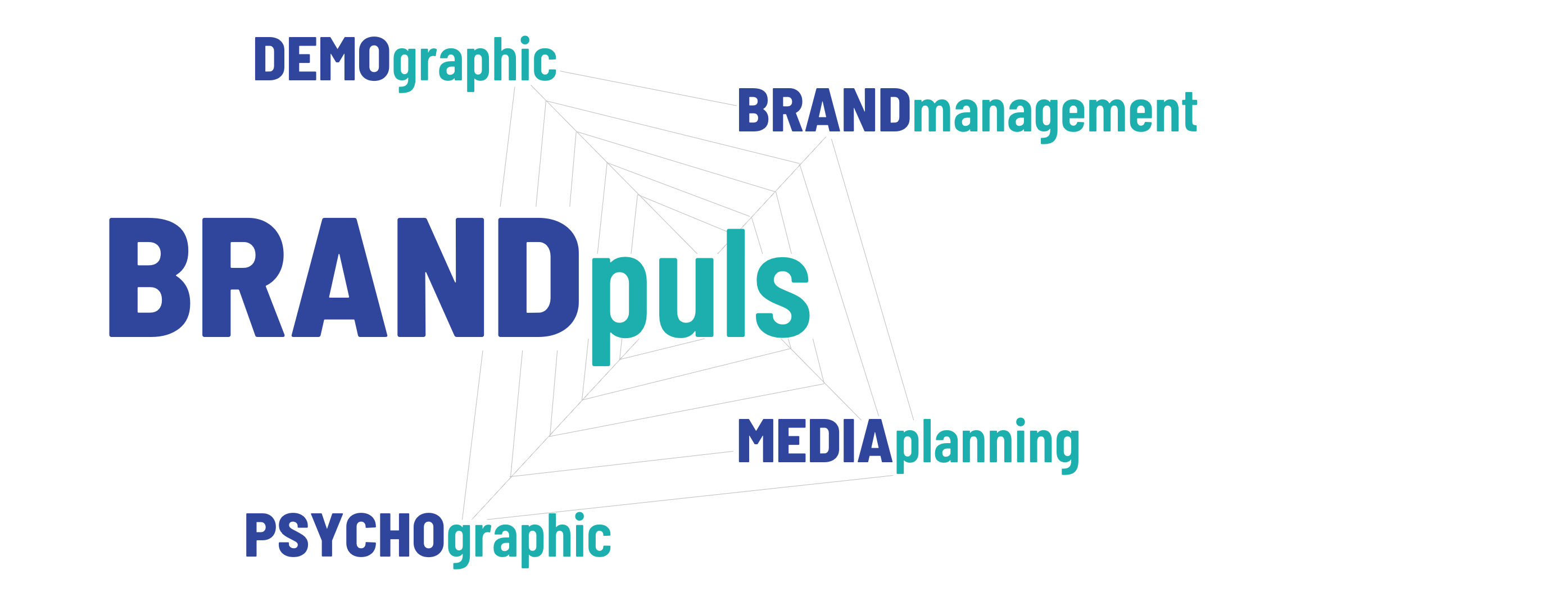 BRANDpuls Brand menagement