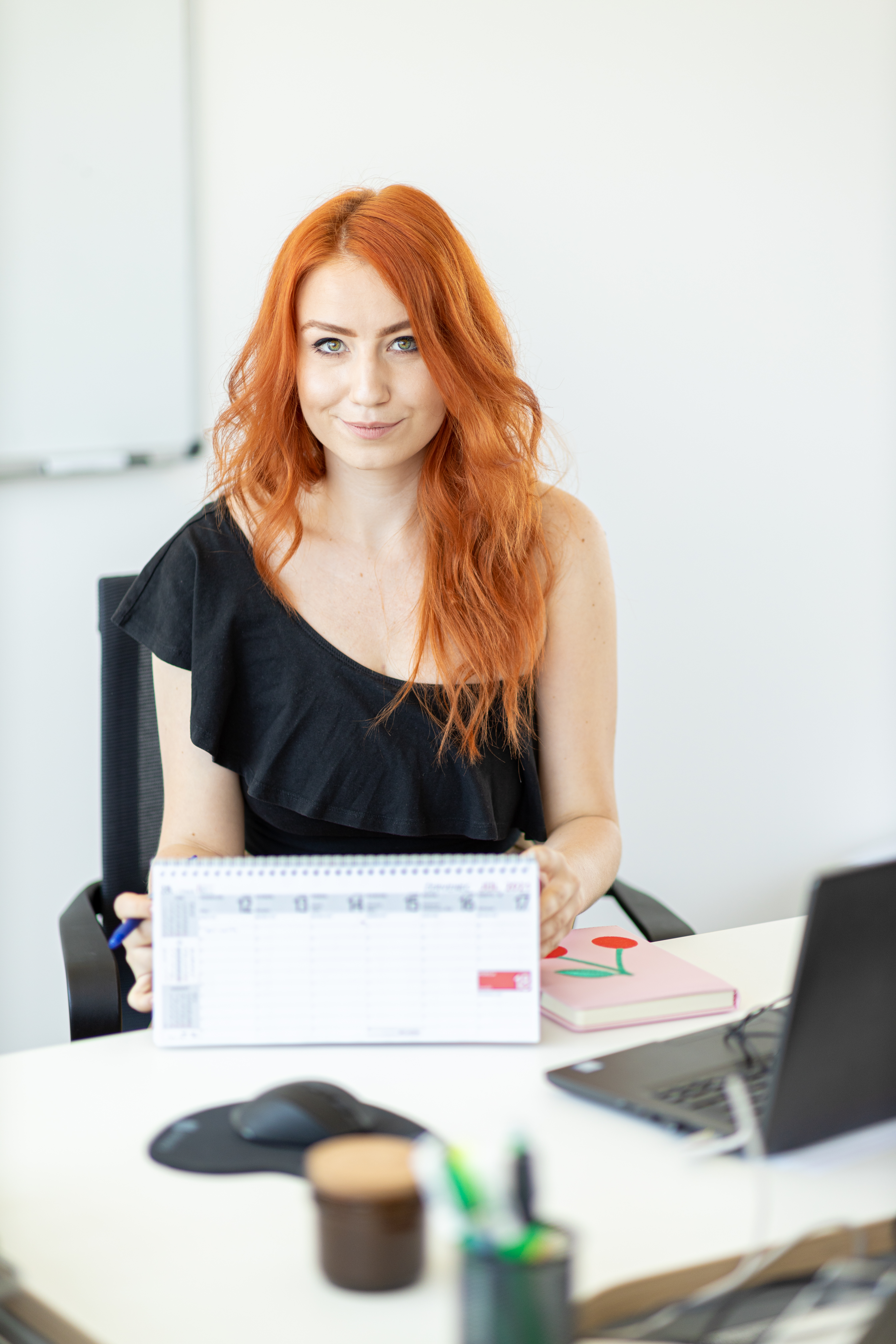 Barbora Ostrožovičová, Ipsos