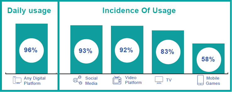 daily usage and incidents of usage