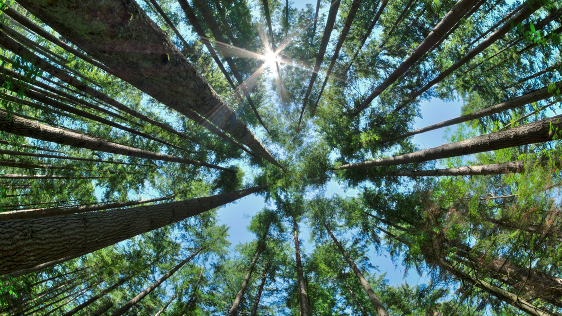 Earth Day 2021
