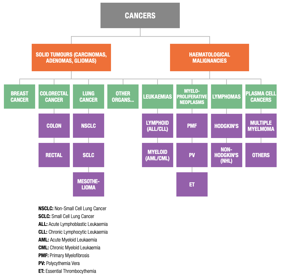 Figure 2: Tumour Types and sub-types