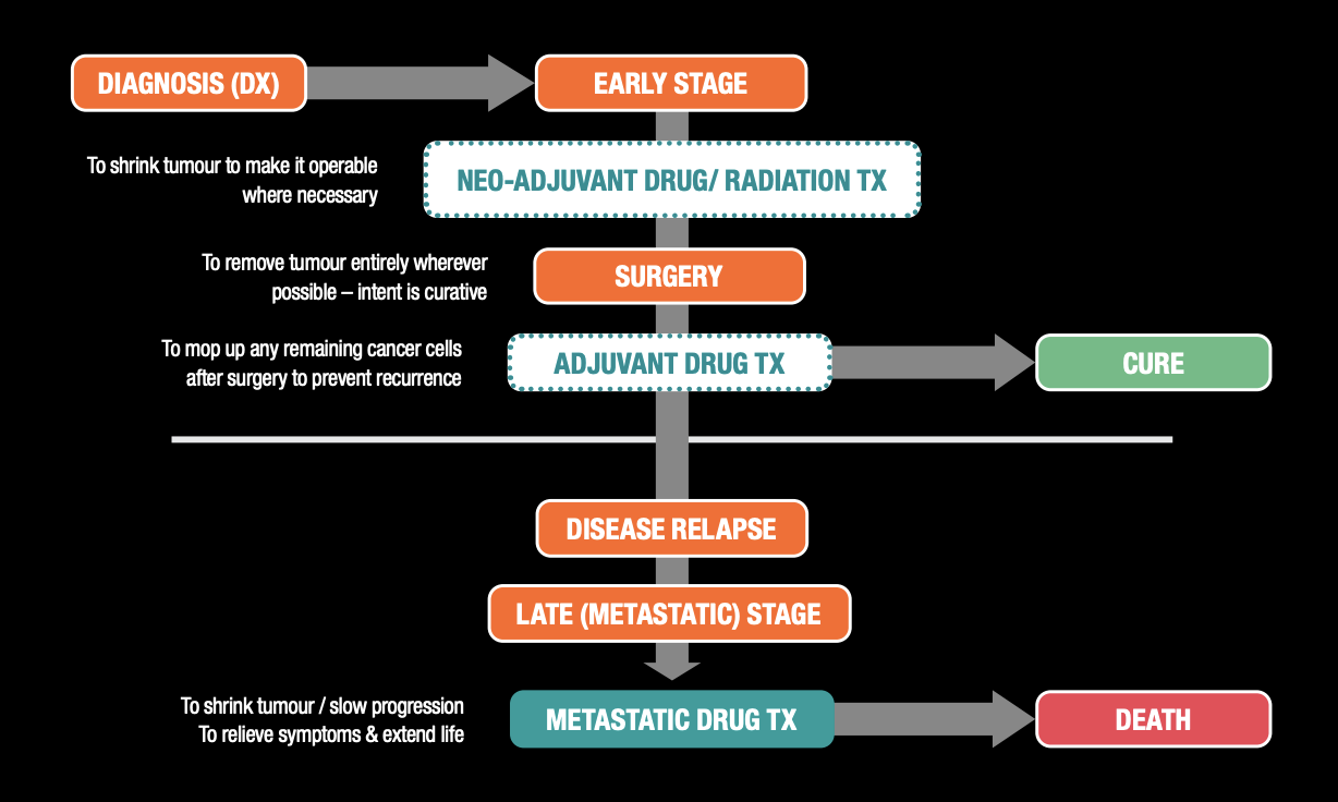 Figure 10: Solid Tumour Treatment – General Overview