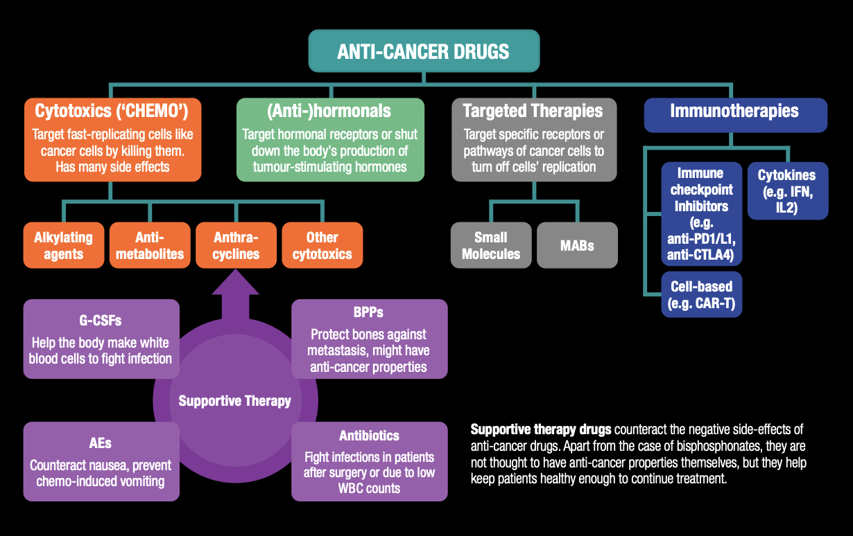 Figure 11: Systemic Therapy – Cancer Drug Treatment Class Overview