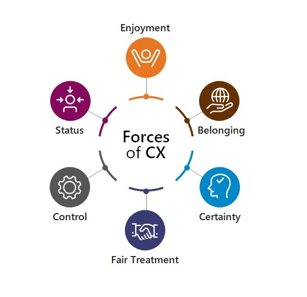 Ipsos Forces of CX