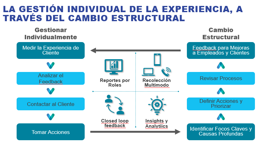 grafico 1