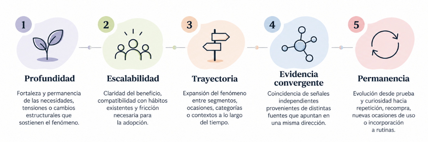Profundidad: fortaleza y permanencia de las necesidades, tensiones o cambios estructurales que sostienen el fenómeno. Escalabilidad: claridad del beneficio, compatibilidad con hábitos existentes y fricción necesaria para la adopción. Trayectoria: expansión del fenómeno entre segmentos, ocasiones, categorías o contextos a lo largo del tiempo. Evidencia convergente: coincidencia de señales independientes provenientes de distintas fuentes que apuntan en una misma dirección. Permanencia: evolución desde prueba y curiosidad hacia repetición, recompra, nuevas ocasiones de uso o incorporación a rutinas
