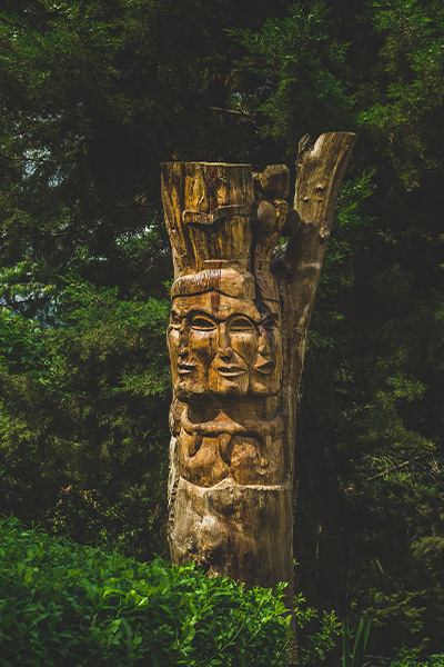 Ipsos | Cultural transferability
