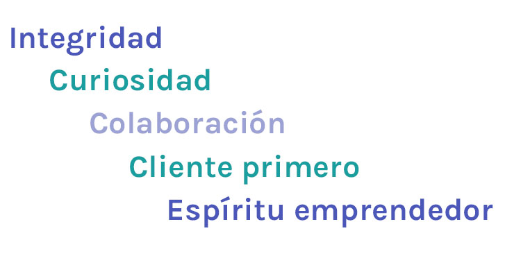 Ipsos valores