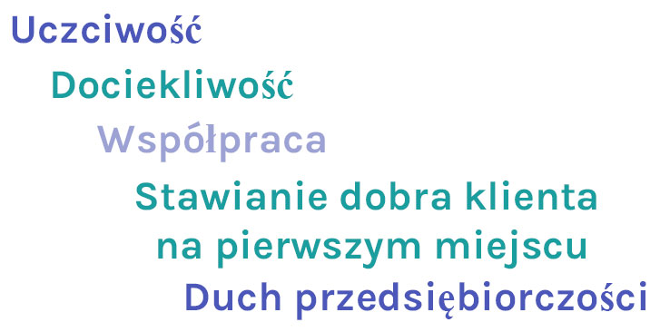 Ipsos Wartości