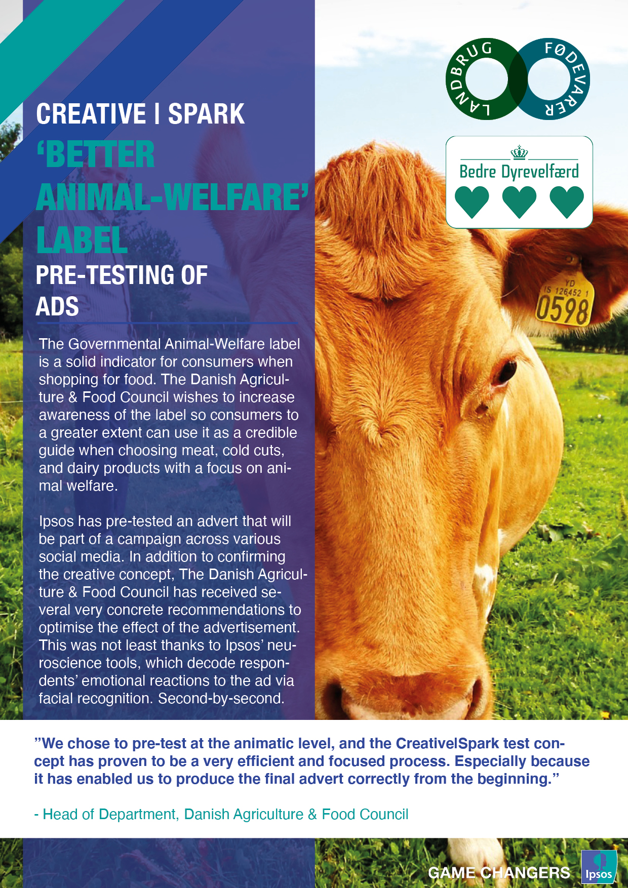 Pre-testing Ads | Testing | Creative Spark