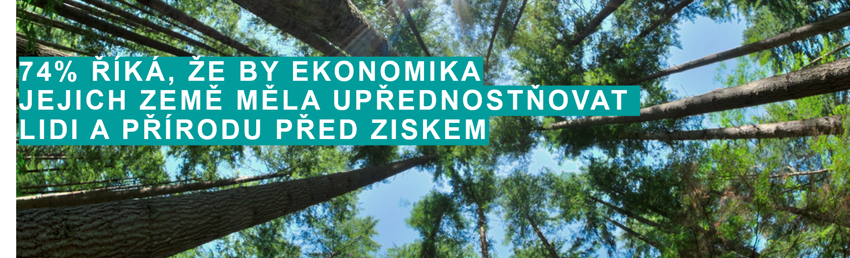 Ipsos Rok 2021 v datech