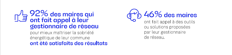 Gestionnaire de réseau