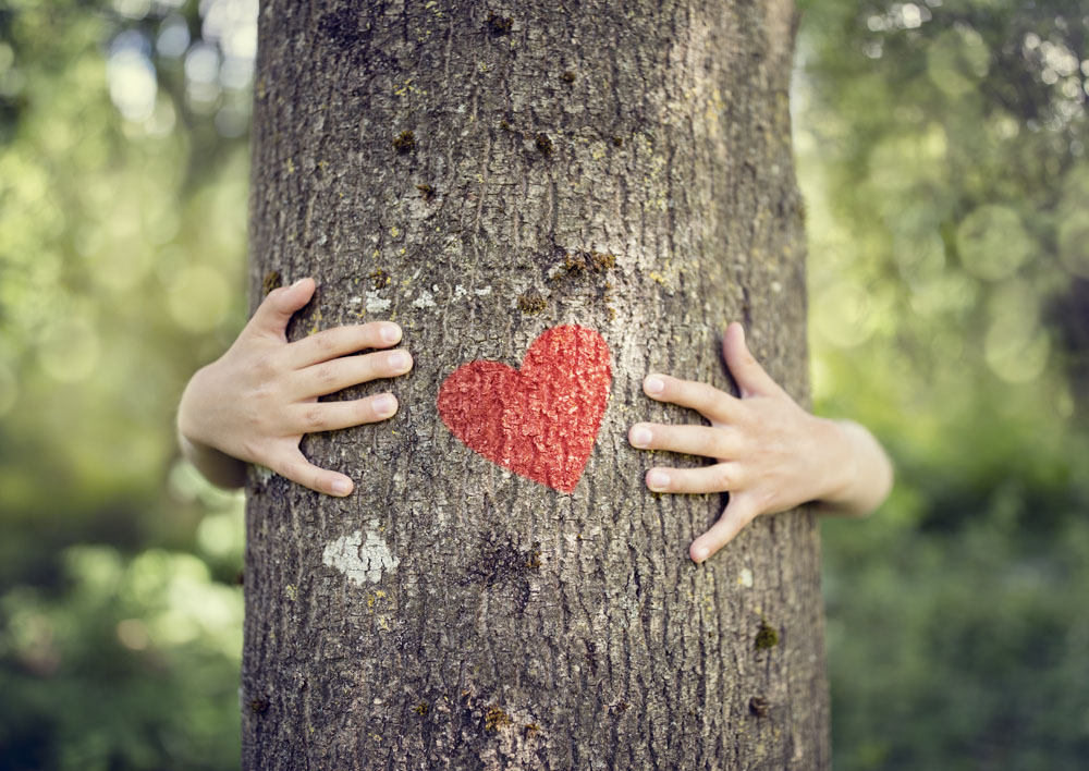 boy hugging tree with heart on it