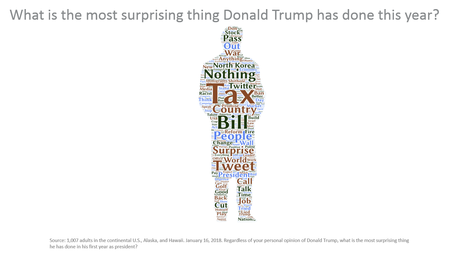 What is the most surprising thing Donald Trump has done this year?