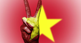 Vietnam pic