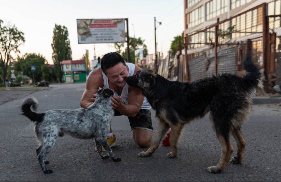 Anna spends time with dogs that live on the street in Mykolaiv, Ukraine.