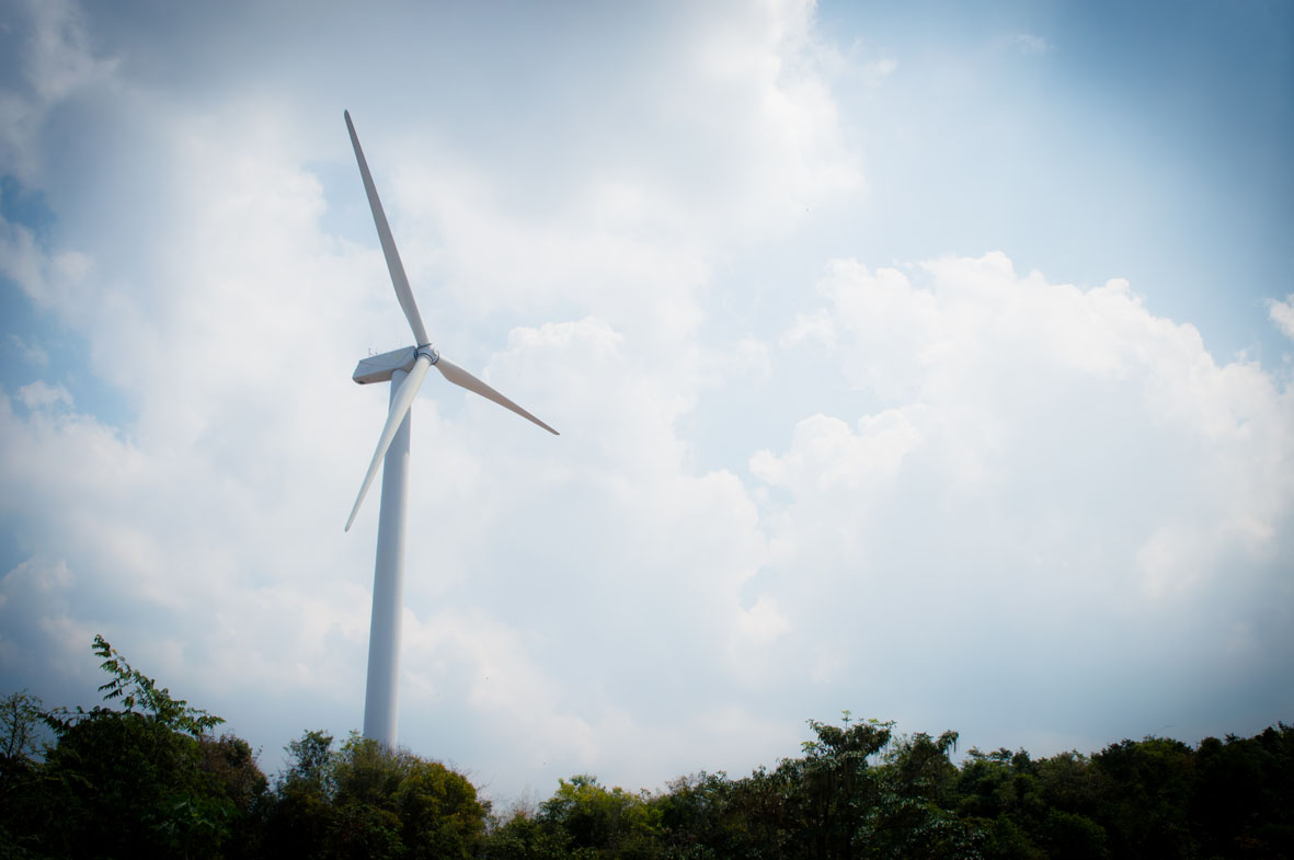 Wind mill - Energy - Climate change