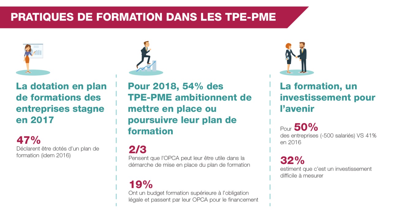 Pratiques de formation dans les TPE-PME