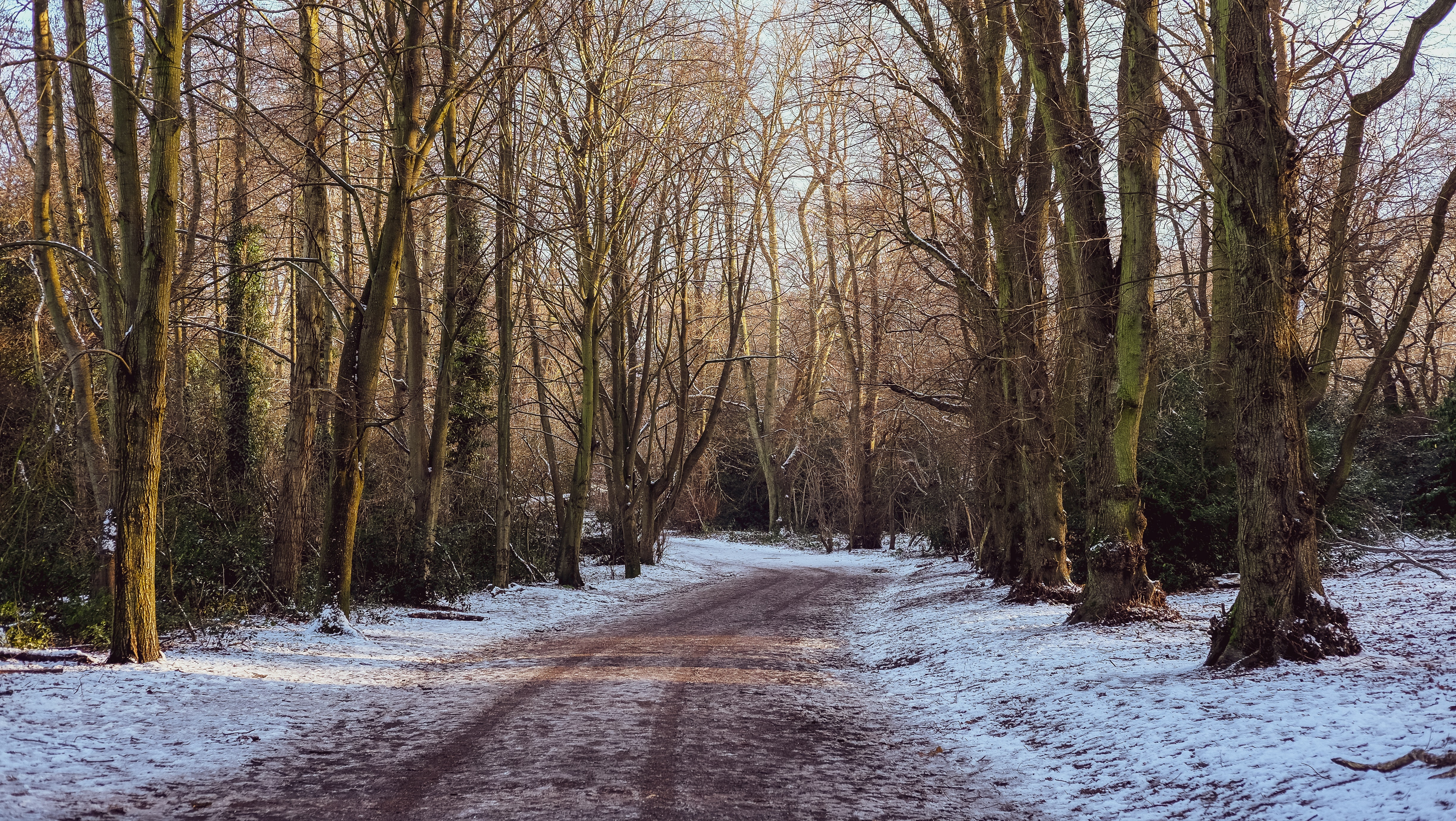 Natuur