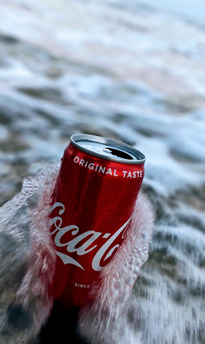 Ipsos | Flair Brazil | Inflation | Healthcare | Society | brands identity | coca cola brand 