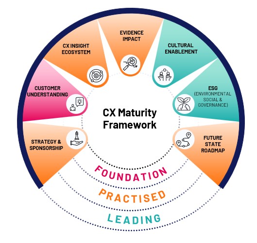 CX Maturtity Framework from Ipsos - see PDF on this page for details