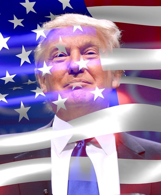 Donald Trump | 2020 US elections | Polling | Ipsos