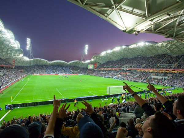 fans in stadium