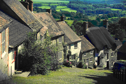 hovis
