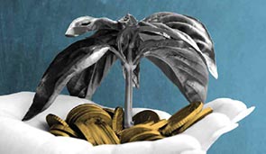 Just how much do sustainability and brand purpose matter