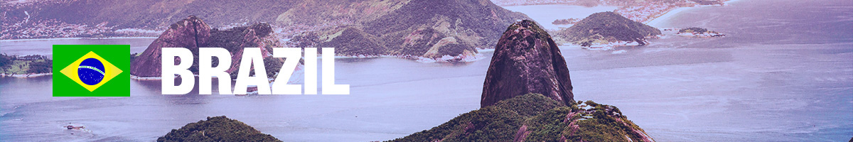 Ipsos | Global Trends | Webinar | Brazil